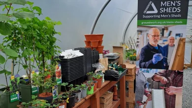 Men's health and wellbeing under the spotlight this Wednesday in Belfast