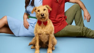 Merv Movie (2025) | Release Date, Review, Cast, Trailer, Watch Online at Amazon Prime Video