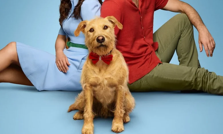 Merv Movie (2025) | Release Date, Review, Cast, Trailer, Watch Online at Amazon Prime Video