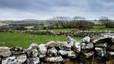 Met Éireann: Mixed weather conditions for the coming week