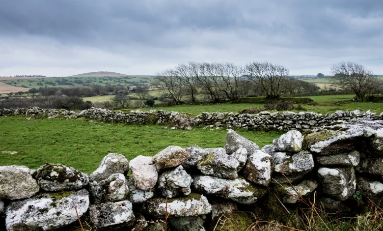 Met Éireann: Mixed weather conditions for the coming week