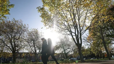 Met Éireann forecasts a bright, cold weekend once early rain clears
