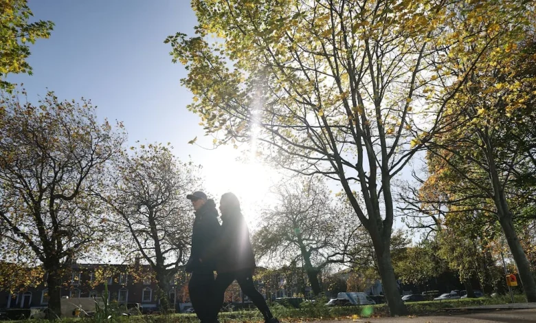 Met Éireann forecasts a bright, cold weekend once early rain clears