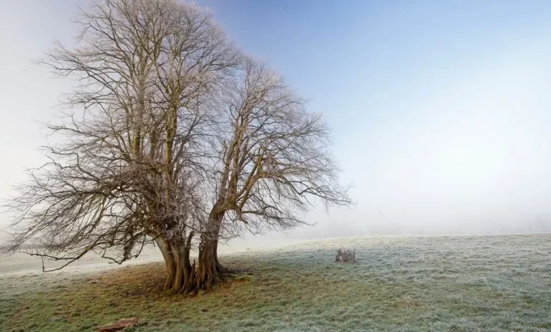 Met Éireann pinpoints when temperatures will plunge below freezing after wet and mild days