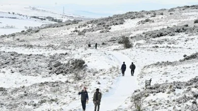 Met Office confirms when snow and ice could hit NI amid arctic blast warning