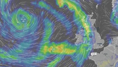 Met Office warns of rare 'freezing rain' capable of bringing down trees and power lines
