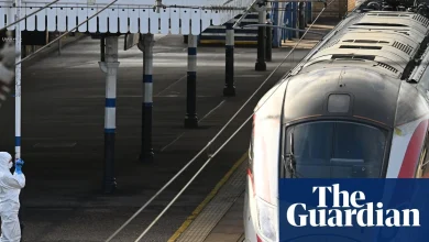 Metal detectors at train stations would ‘make life impossible’, says transport secretary