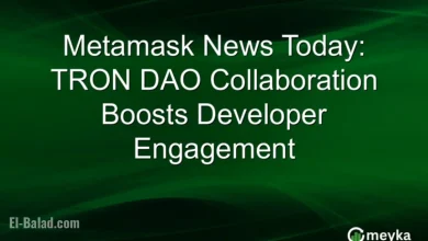 Metamask, TRON DAO Forge Partnership to Enhance Developer Engagement at DevConnect Buenos Aires
