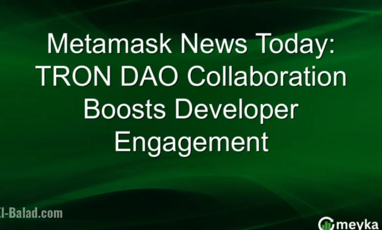 Metamask, TRON DAO Forge Partnership to Enhance Developer Engagement at DevConnect Buenos Aires