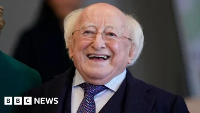 Michael D Higgins: Legacy of the Irish president who pushed boundaries
