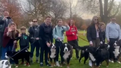 Michael D Higgins says serving as President has been ‘a great privilege’ as he departs Áras