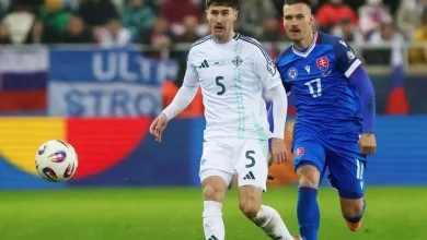 Michael O’Neill chasing clarification over yellow card situation ahead of World Cup Play-Offs