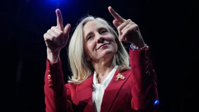 Michigan Dems tout, Republicans downplay off-year election results