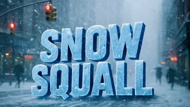 Michigan Weather Alert: Snow-Squall Prep Today Could Snarl Drivers in Detroit as Holidays Near