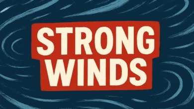 Mid-Atlantic Weather Alert: Strong Winds and Early December Chill Sweep Across D.C., Maryland, and Virginia This Weekend