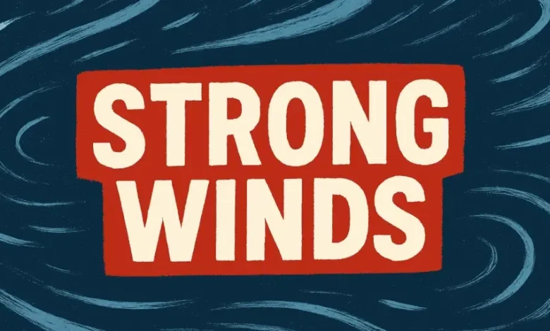Mid-Atlantic Weather Alert: Strong Winds and Early December Chill Sweep Across D.C., Maryland, and Virginia This Weekend