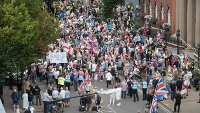 Migrant ADMITS raping 12-year-old girl in Nuneaton 'attack' that sparked protest - but denies string of other offences