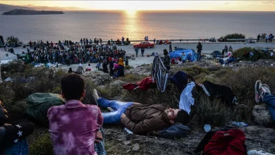 Migration to OECD countries fell slightly last year, especially in Europe: Report