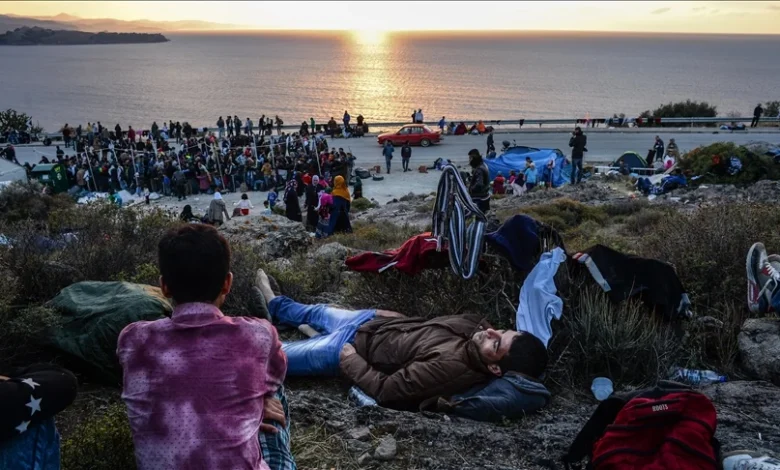 Migration to OECD countries fell slightly last year, especially in Europe: Report