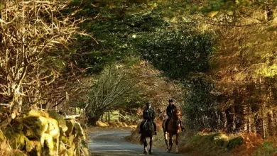 Mild but mixed weather to continue over weekend, says Met Éireann