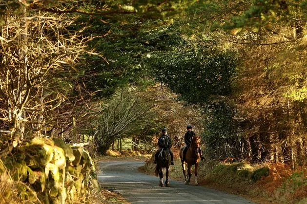 Mild but mixed weather to continue over weekend, says Met Éireann