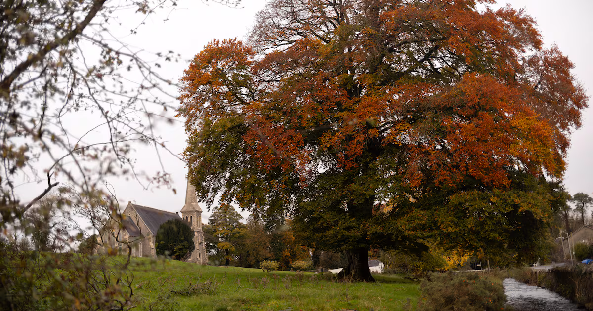Mild temperatures expected in coming days with highs of 16 degrees, says Met Éireann