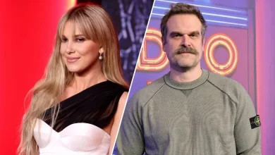 Millie Bobby Brown Reportedly Accused Co-Star David Harbour Of Harassment