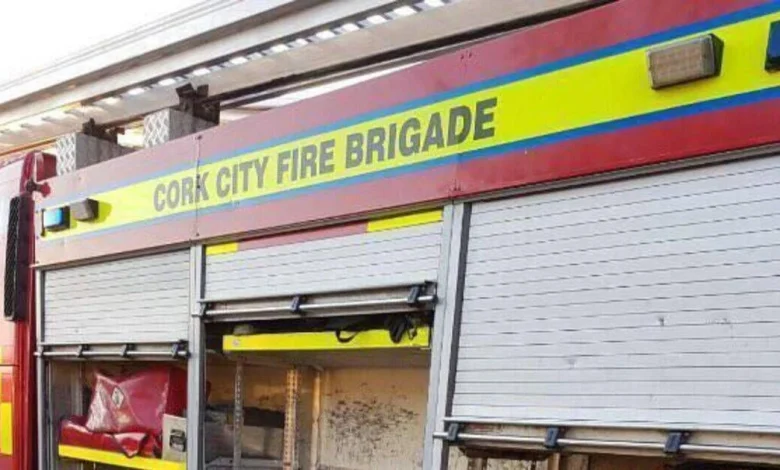 Millions of euro in damage as overnight fire destroys Little Island warehouse