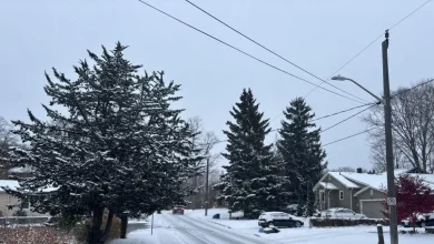 Milton forecast for Monday, November 10th