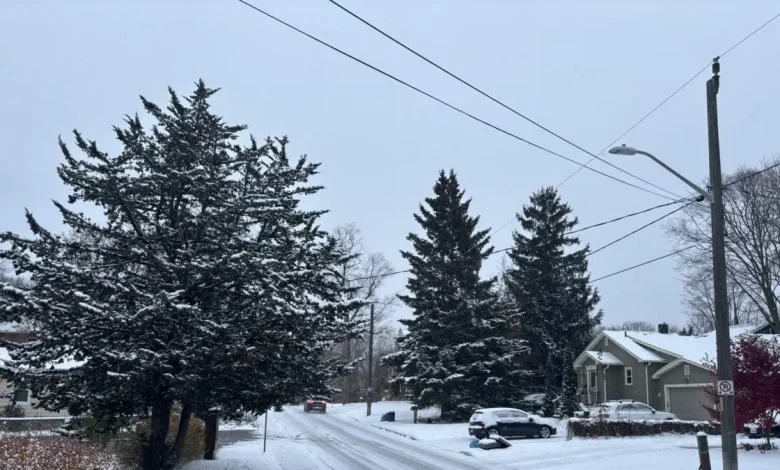 Milton forecast for Monday, November 10th