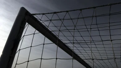 Milutin Osmajic update