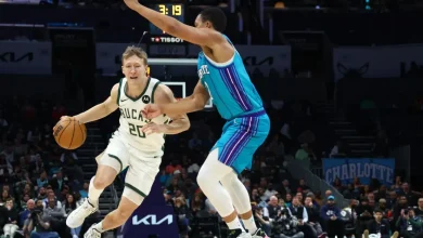 Milwaukee Bucks vs. Charlotte Hornets Preview: Douse the nest