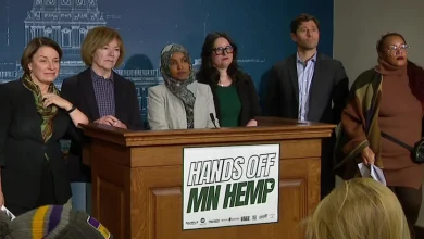 Minnesota's Amy Klobuchar, Tina Smith, Ilhan Omar among politicians fighting federal hemp ban