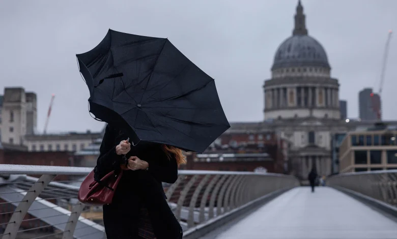 Minor forecasts shouldn't make the weather for Reeves