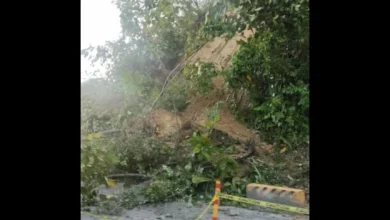 Minor landslide hits Sipalay