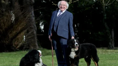 Misneach back in Galway as President Higgins and Sabina prepare to leave Dublin