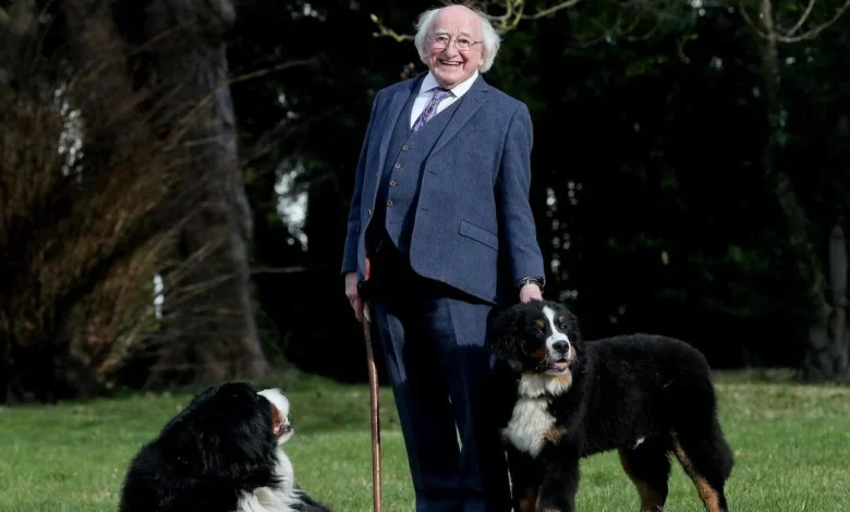 Misneach back in Galway as President Higgins and Sabina prepare to leave Dublin