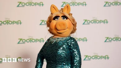 Miss Piggy movie: Jennifer Lawrence and Emma Stone set to produce