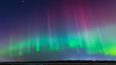 Missed out on seeing the aurora australis? You get one last chance tonight