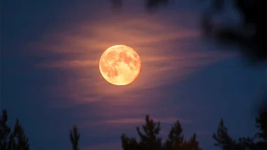 Missed the Beaver Moon? Tonight it will be even better, for one simple reason