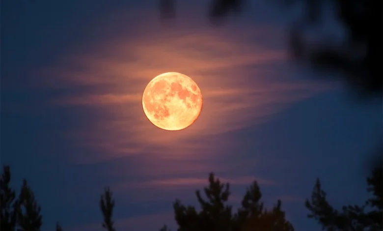 Missed the Beaver Moon? Tonight it will be even better, for one simple reason