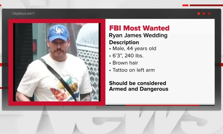 'Modern day Pablo Escobar': 7 Canadians charged in relation to alleged drug lord Ryan Wedding