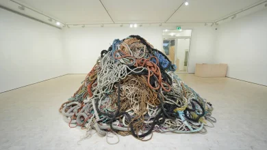 Money for old rope: Art installation from Turner Prize nominee valued at £1m