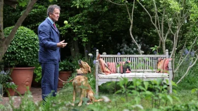 Monty Don opens up about 'pressure and scrutiny' as he says goodbye to BBC film crew