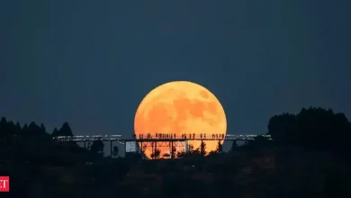 Moon phase November 3, 2025: Waxing Gibbous at 94% illumination