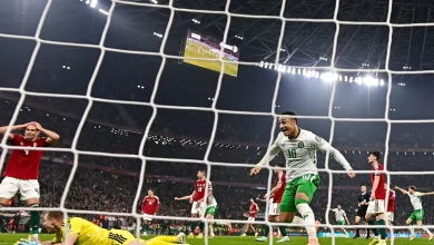 More than one million were watching RTÉ for dramatic final moments against Hungary