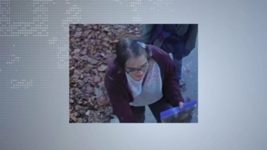 Morgan Geyser missing in Madison after cutting off monitoring bracelet