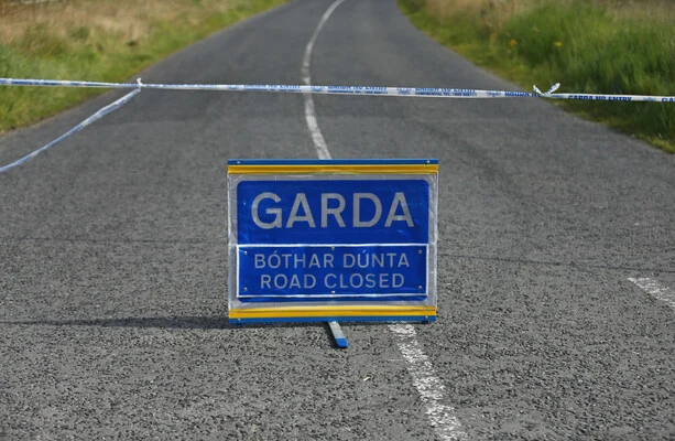 Motorcyclist dies at the scene of crash in Co Limerick