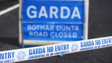 Multiple fatalities reported and others injured in Dundalk collision