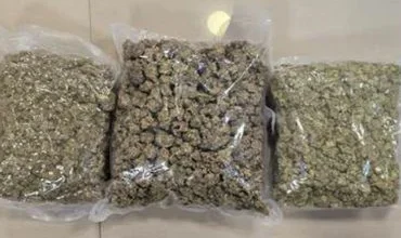 Mumbai: DRI seizes drugs valued at Rs 42 crore, 2 arrested
